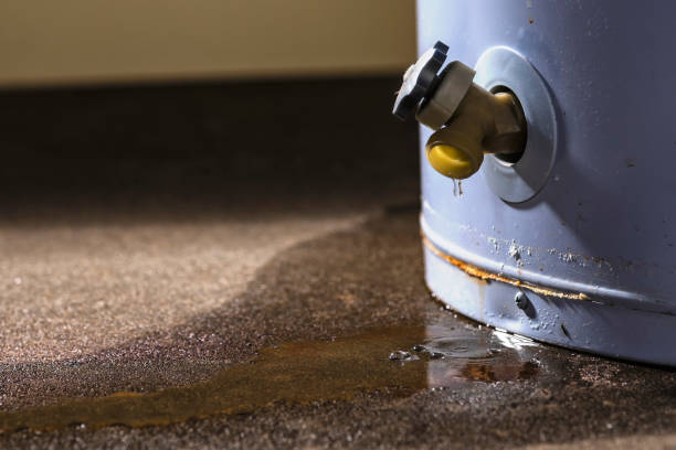 Best Water damage contractors near me  in Decatur, MI