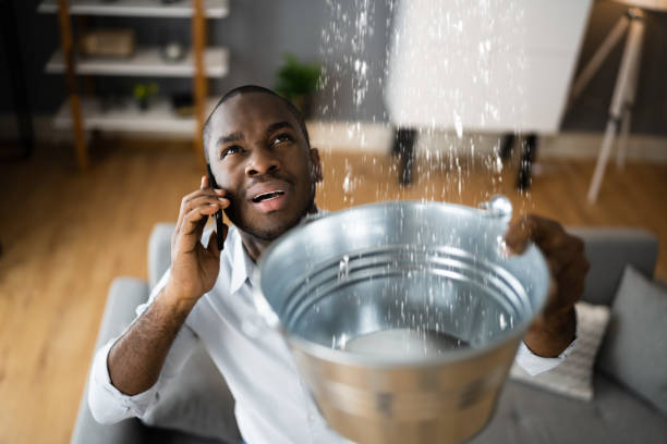 Best Water damage cleanup near me  in Decatur, MI