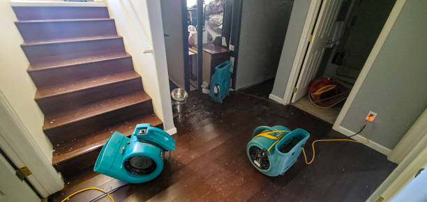 Best Commercial water damage restoration  in Decatur, MI