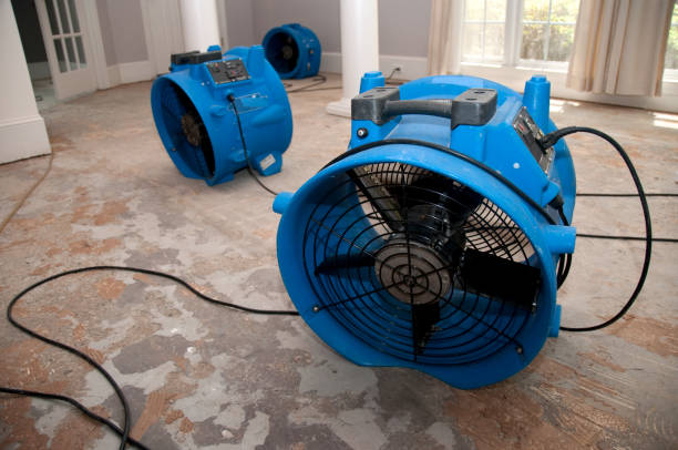  Decatur, MI Water damage restoration Pros