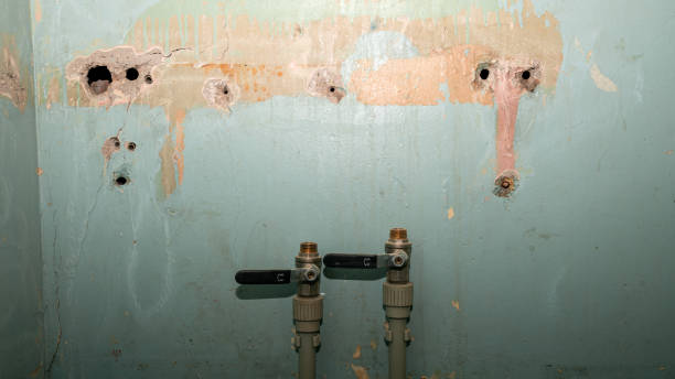 Best Professional water damage repair  in Decatur, MI