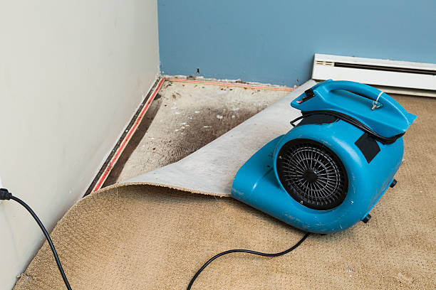 Best Emergency water damage restoration  in Decatur, MI
