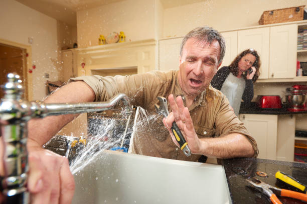 Best Basement water damage restoration  in Decatur, MI